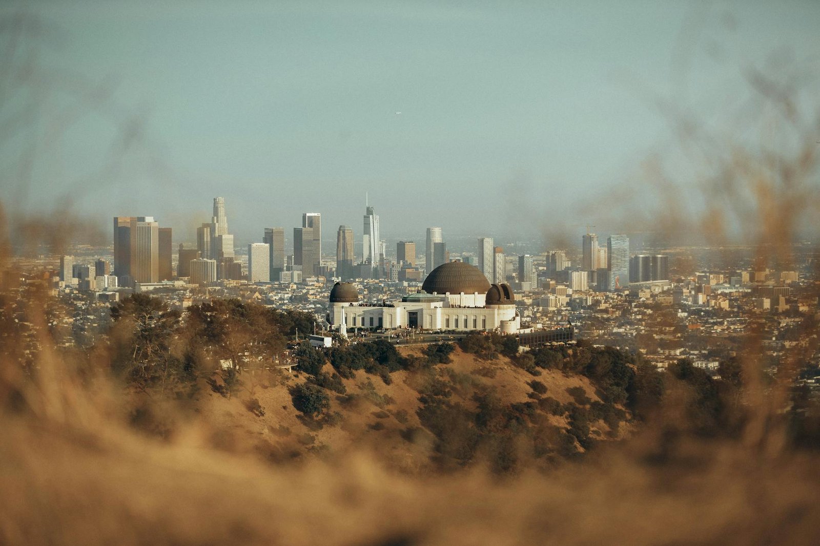 directory owner Los Angeles
