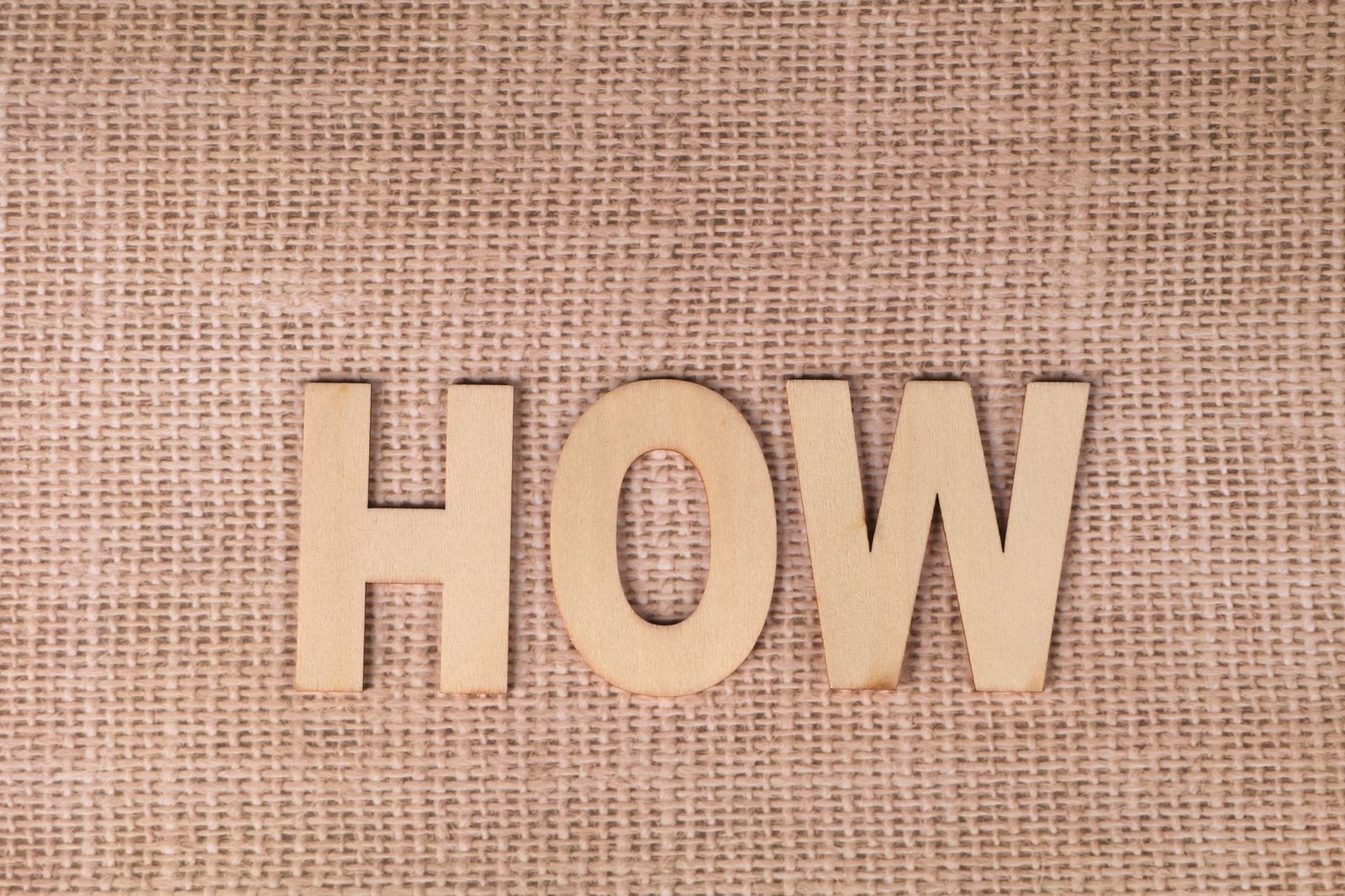 How to Choose a Profitable Directory Website Niche in 2026